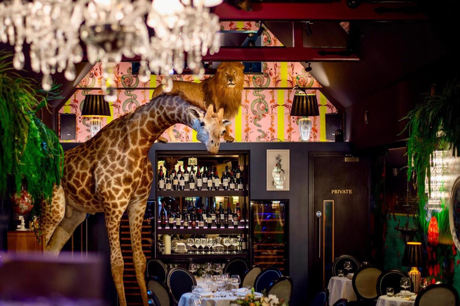 Hux Hotel, Kensington Londres Exterior foto